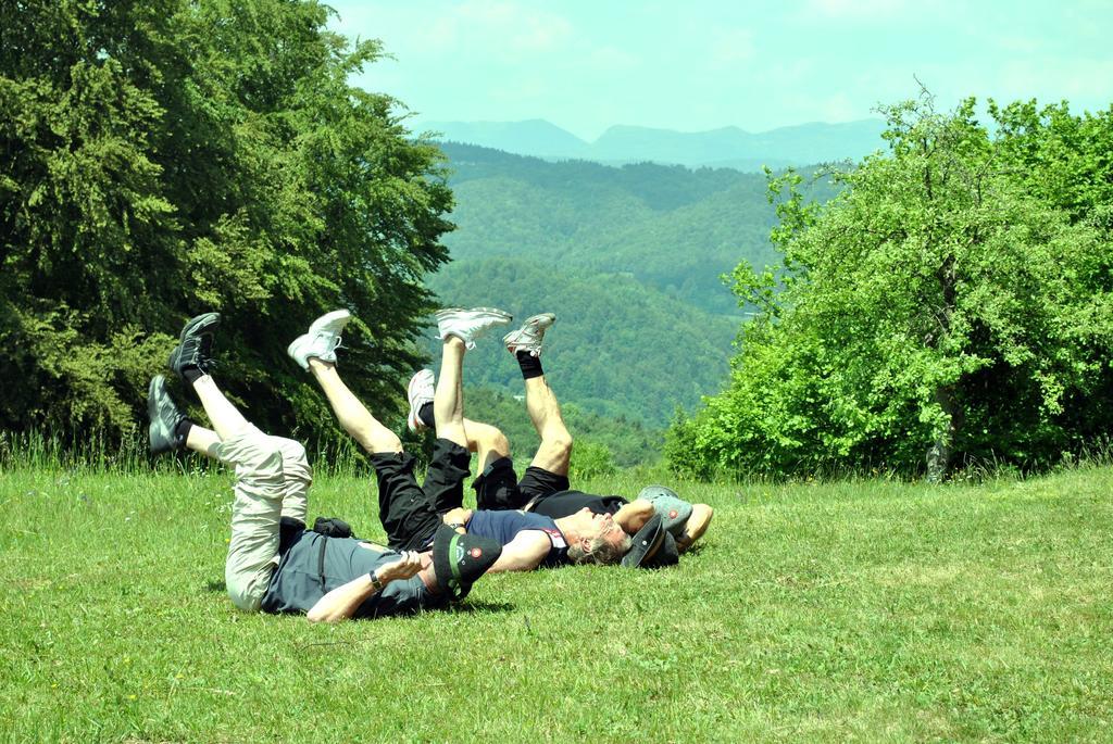Pri Vidrgarju Hotel Vace Bagian luar foto